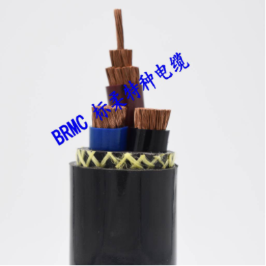 堆取料機扁電纜圖片/堆取料機扁電纜樣板圖 (4)