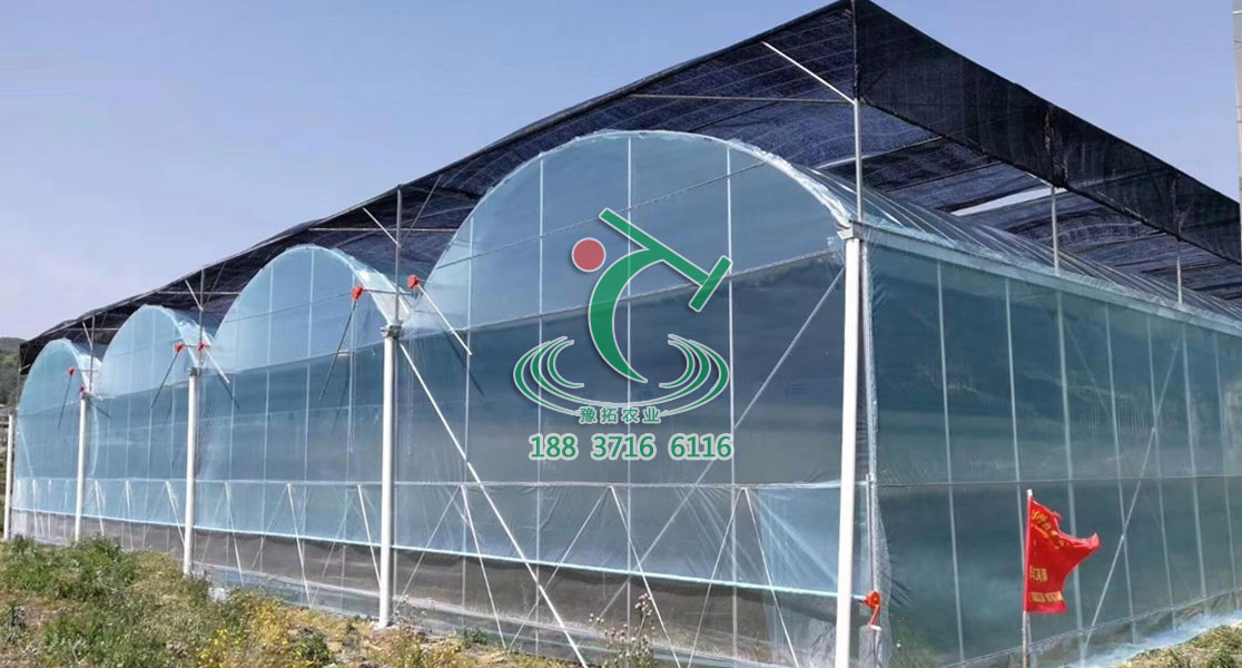 連棟圓拱玻璃溫室圖片/連棟圓拱玻璃溫室樣板圖 (4)