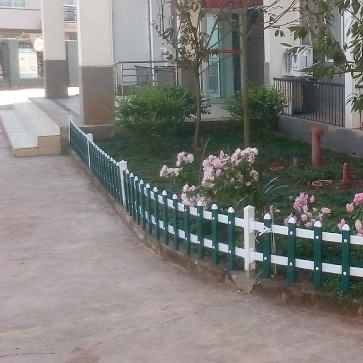 城市綠化草坪圖片/城市綠化草坪樣板圖 (2)