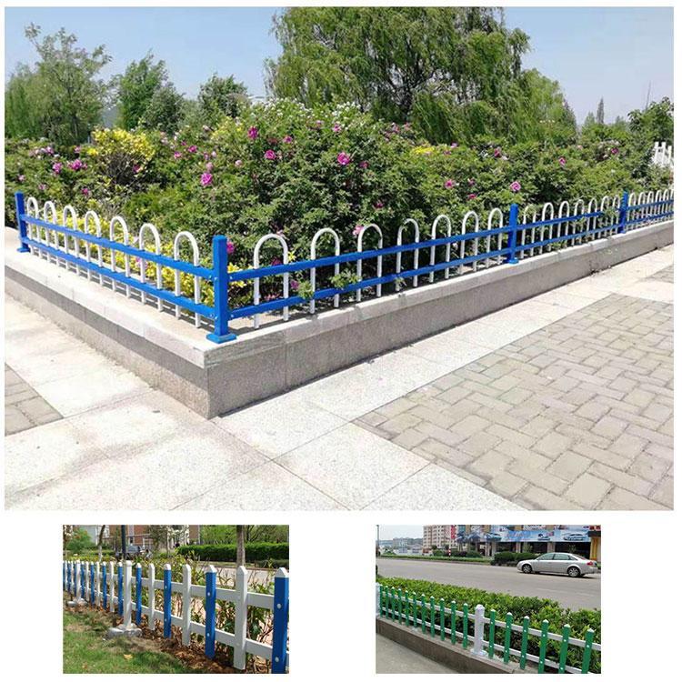 城市綠化草坪圖片/城市綠化草坪樣板圖 (3)