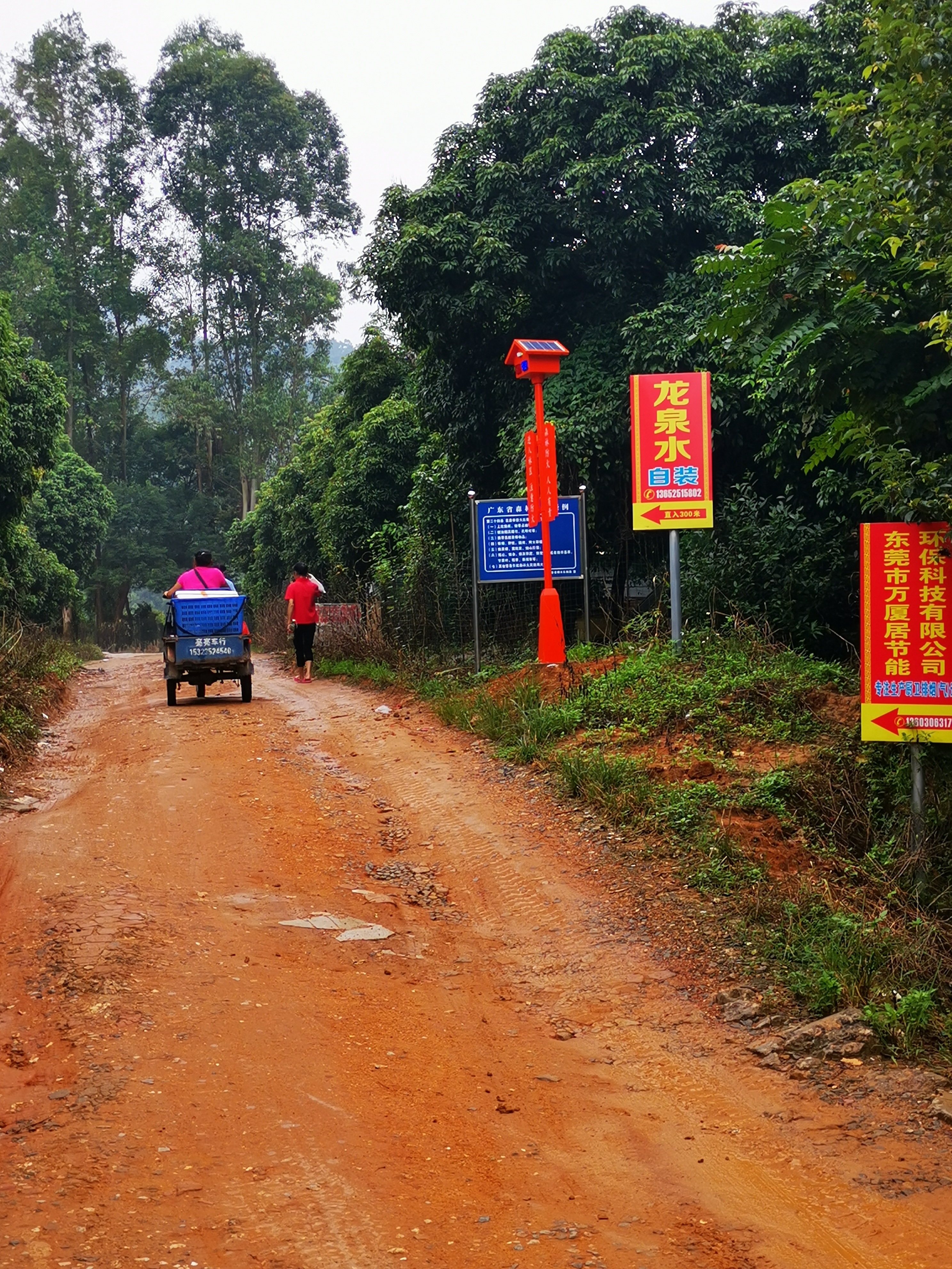 森林警示監(jiān)控桿圖片