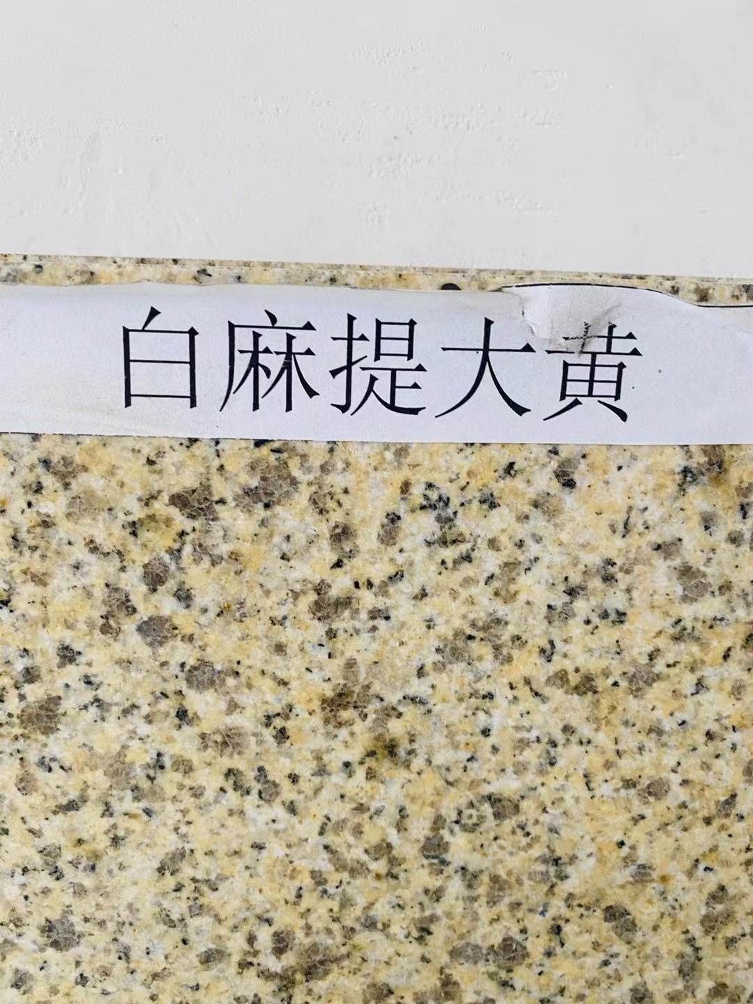 白麻提大黃圖片/白麻提大黃樣板圖 (4)