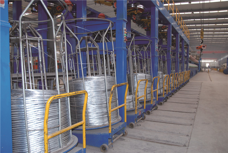 軟絲圖片/軟絲樣板圖 (4)