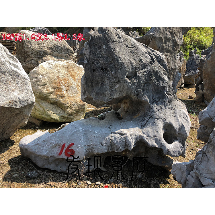 景觀石太湖石圖片/景觀石太湖石樣板圖 (4)