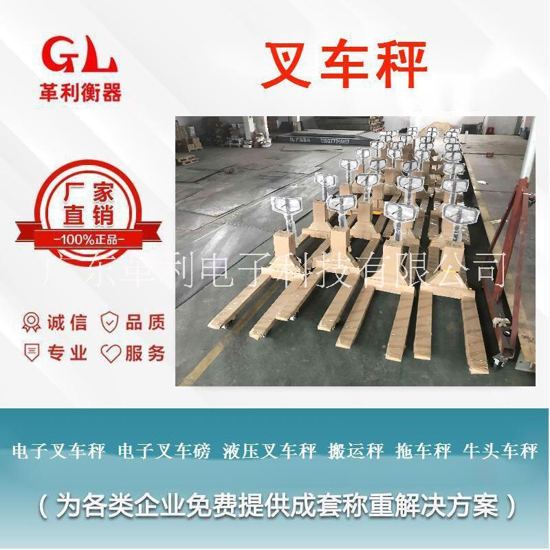叉車秤廠家圖片/叉車秤廠家樣板圖 (4)