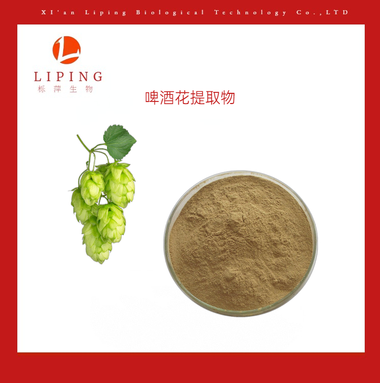 櫟萍生物供應(yīng)啤酒花提取物啤酒花黃酮5%