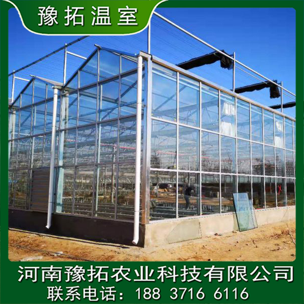 安裝智能玻璃溫室定制  安裝智能玻璃溫室生產(chǎn)廠家 連棟智能玻璃溫室大棚