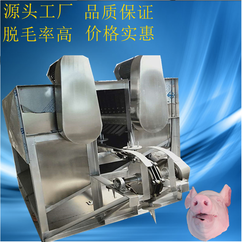 高脫毛率豬頭打毛機(jī)圖片/高脫毛率豬頭打毛機(jī)樣板圖 (1)