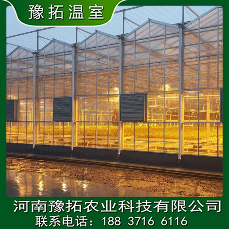 智能連棟玻璃溫室大棚圖片