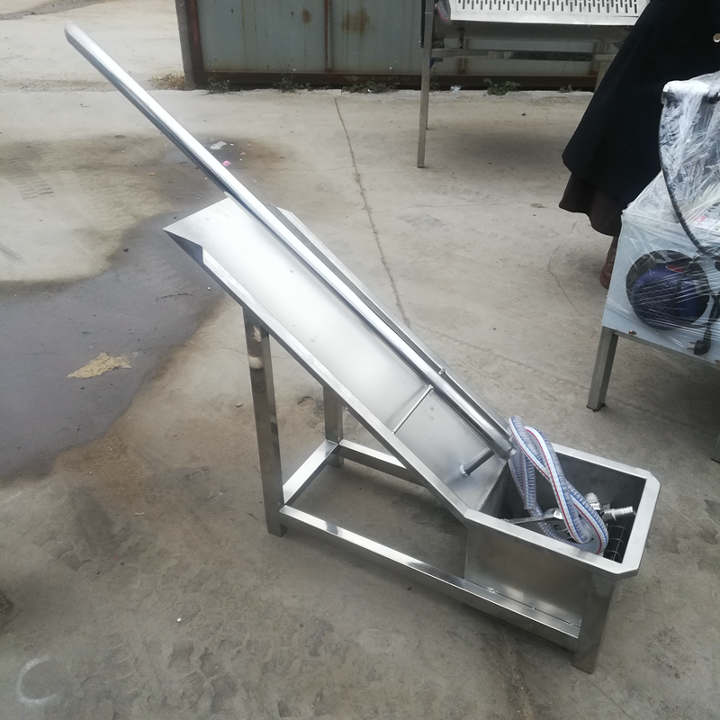 大腸圖片/大腸樣板圖 (2)