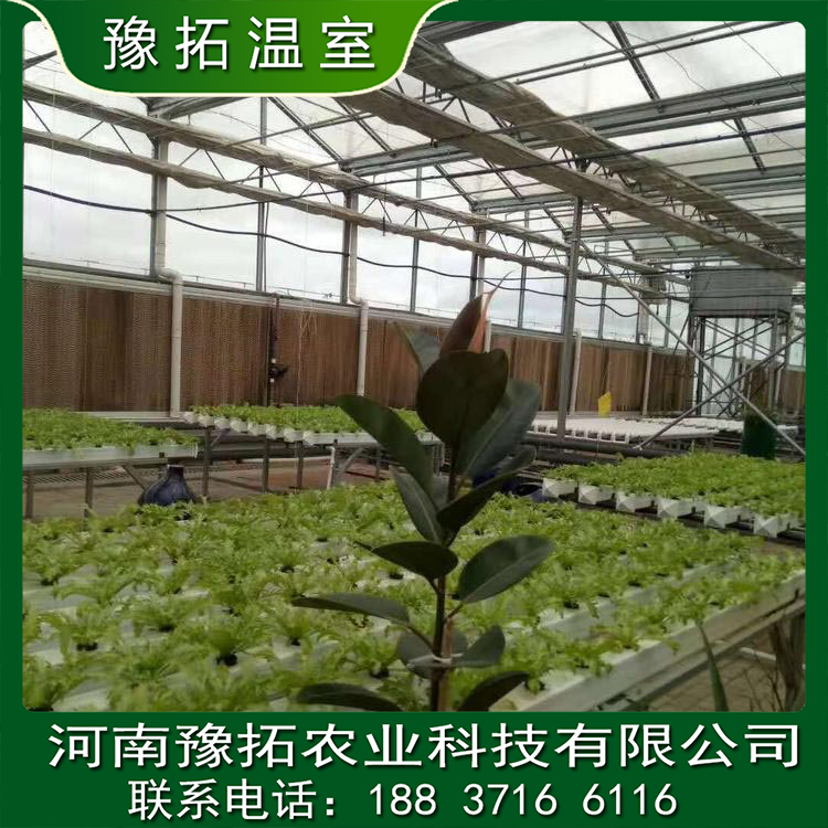 智能玻璃溫室大棚設(shè)計(jì)加工圖片