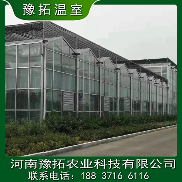 安裝設(shè)計(jì)智能玻璃溫室大棚圖片