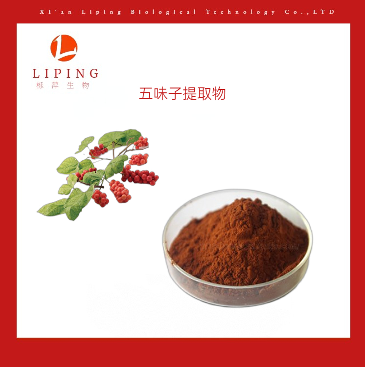 五味子提取物五味子總素圖片