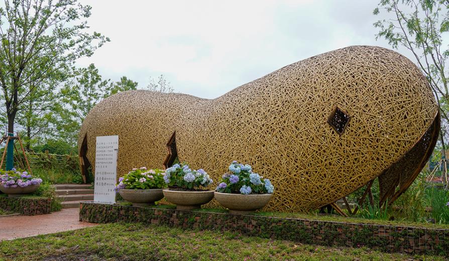 上海經(jīng)典竹景觀建筑圖片/上海經(jīng)典竹景觀建筑樣板圖 (2)