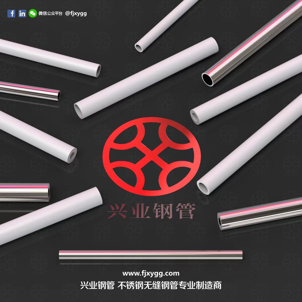 不銹鋼無縫管圖片/不銹鋼無縫管樣板圖 (3)