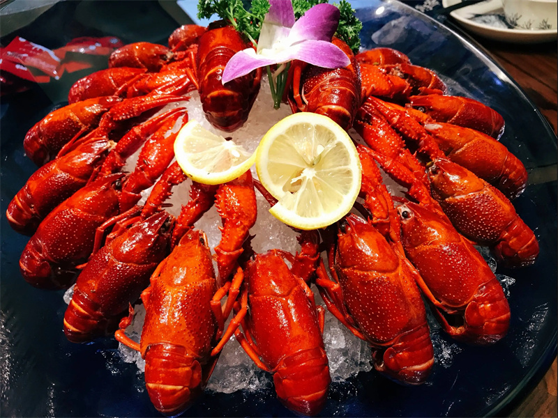 小龍蝦圖片/小龍蝦樣板圖 (4)