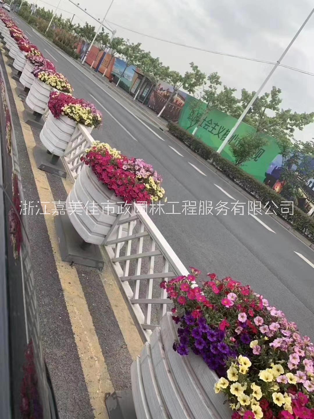 一桶一鏈花箱圖片/一桶一鏈花箱樣板圖 (4)