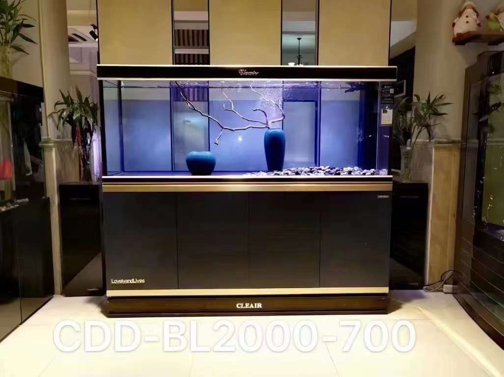 珠海護理魚缸服務(wù)圖片/珠海護理魚缸服務(wù)樣板圖 (2)