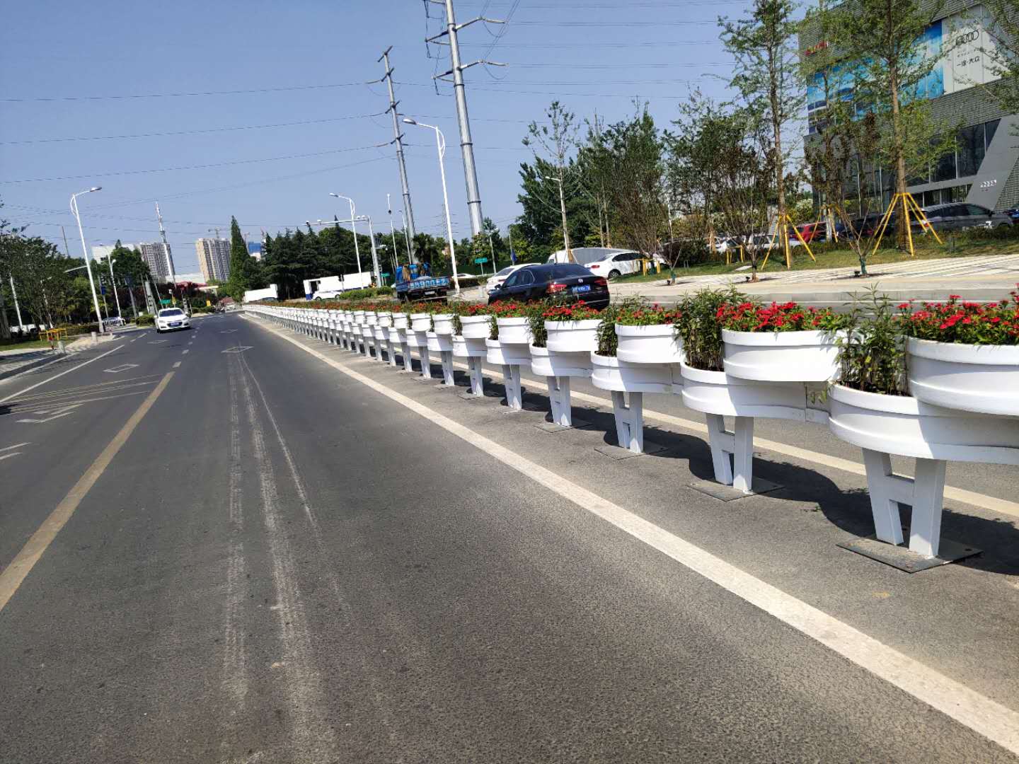 飄帶花圖片/飄帶花樣板圖 (4)