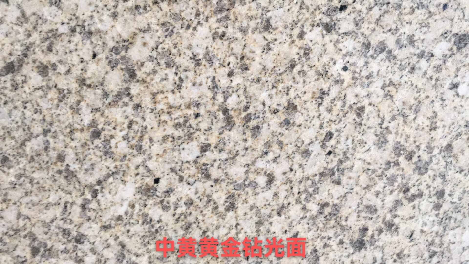 黃金鉆圖片/黃金鉆樣板圖 (4)
