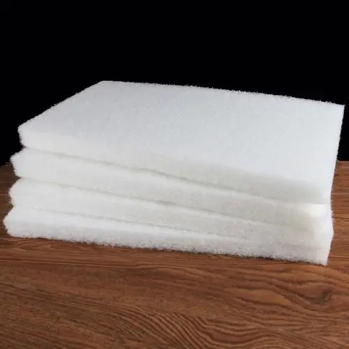 水族館圖片/水族館樣板圖 (2)