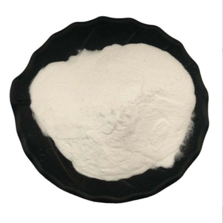 蚌肉圖片/蚌肉樣板圖 (3)