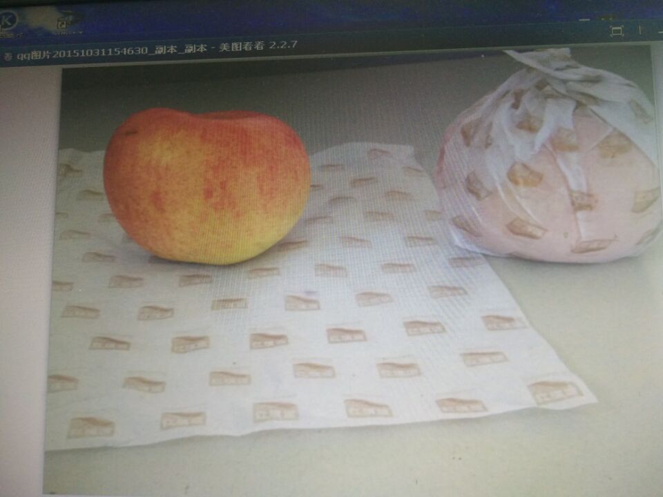 透明紙印刷圖片/透明紙印刷樣板圖 (1)