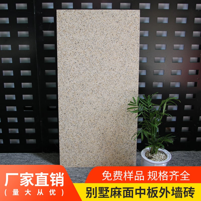 中板外墻磚圖片/中板外墻磚樣板圖 (4)