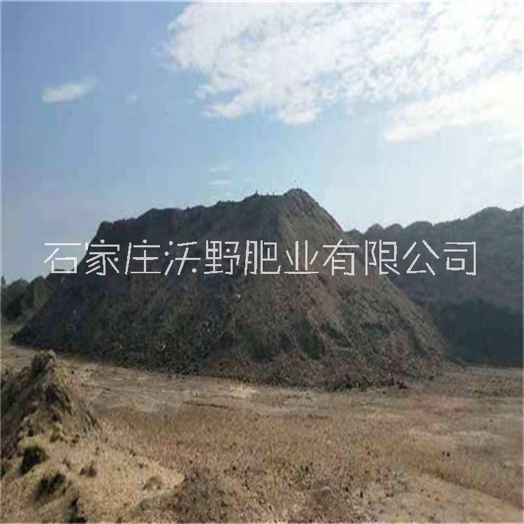 發(fā)酵羊糞圖片/發(fā)酵羊糞樣板圖 (4)