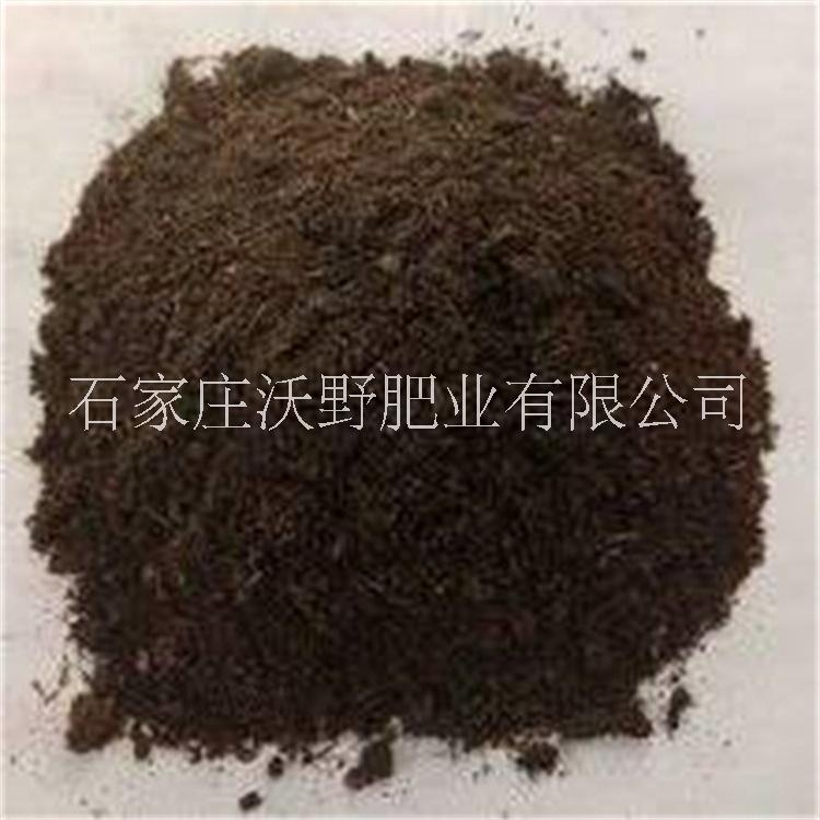 發(fā)酵牛糞圖片/發(fā)酵牛糞樣板圖 (4)