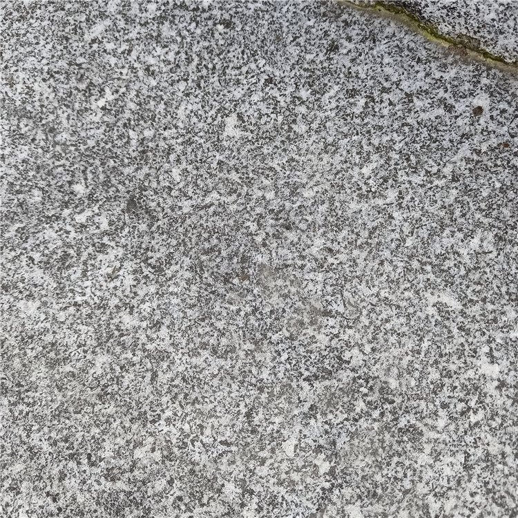 湖北芝麻圖片/湖北芝麻樣板圖 (4)