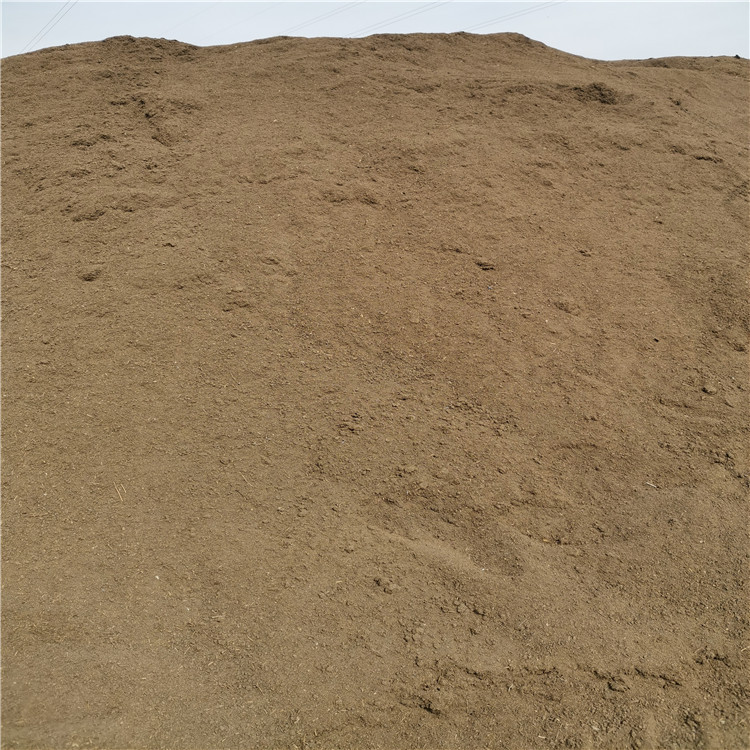 羊糞圖片/羊糞樣板圖 (4)