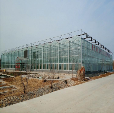 玻璃溫室圖片/玻璃溫室樣板圖 (4)