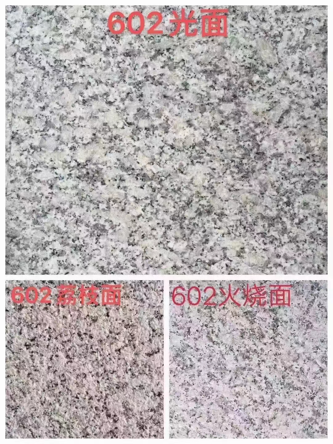 芙蓉白圖片/芙蓉白樣板圖 (4)