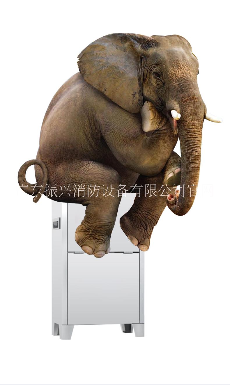 滅火箱圖片/滅火箱樣板圖 (3)