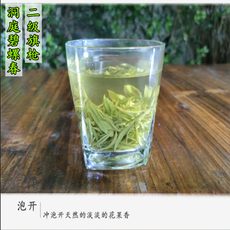 碧螺春圖片/碧螺春樣板圖 (3)