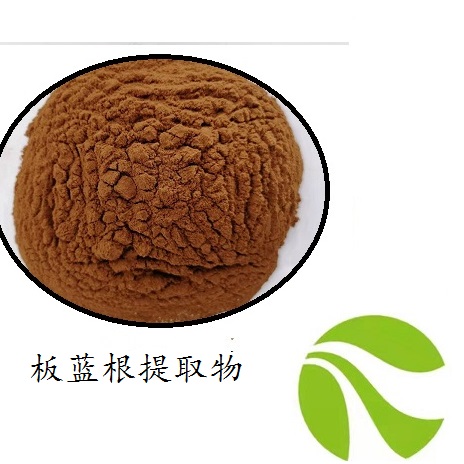 板藍(lán)根提取物 板藍(lán)根粉