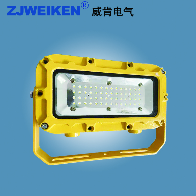 DGC80W/127L支架燈圖片/DGC80W/127L支架燈樣板圖 (3)