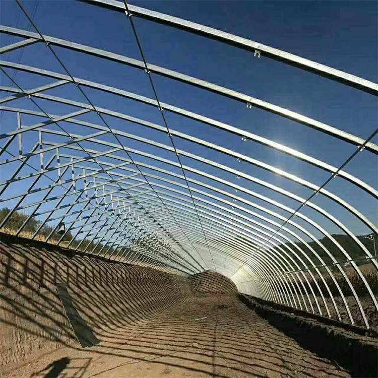 簡易大型智能連棟薄膜日光大棚 日光溫室 昌越溫室