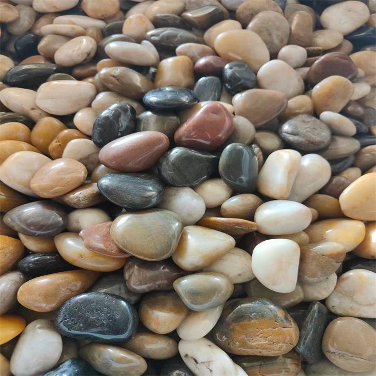 鵝卵石價(jià)格圖片/鵝卵石價(jià)格樣板圖 (4)