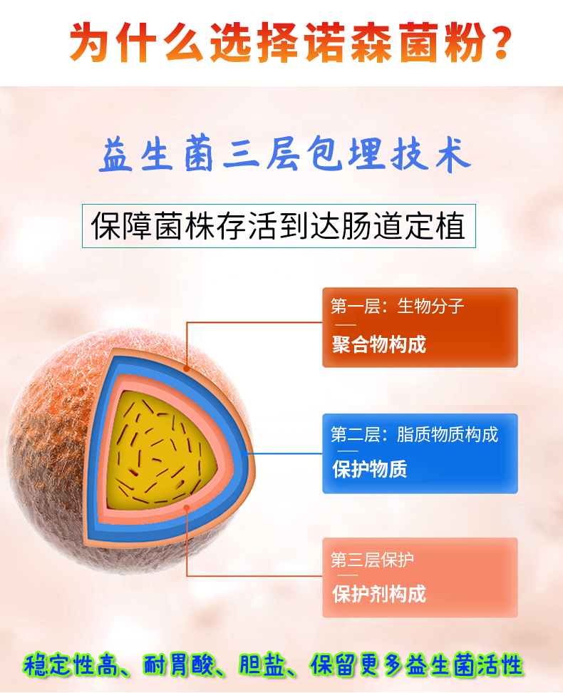 植物乳杆菌