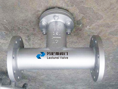 SRTT型過濾器圖片/SRTT型過濾器樣板圖 (3)