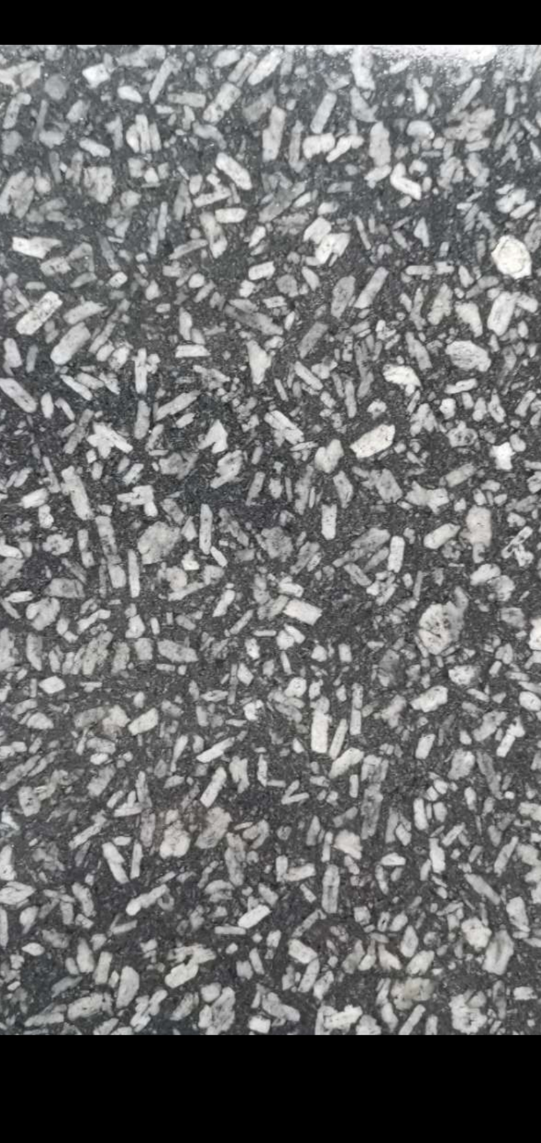 世紀(jì)銀圖片/世紀(jì)銀樣板圖 (4)