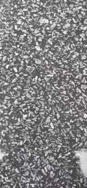 世紀(jì)銀圖片/世紀(jì)銀樣板圖 (3)