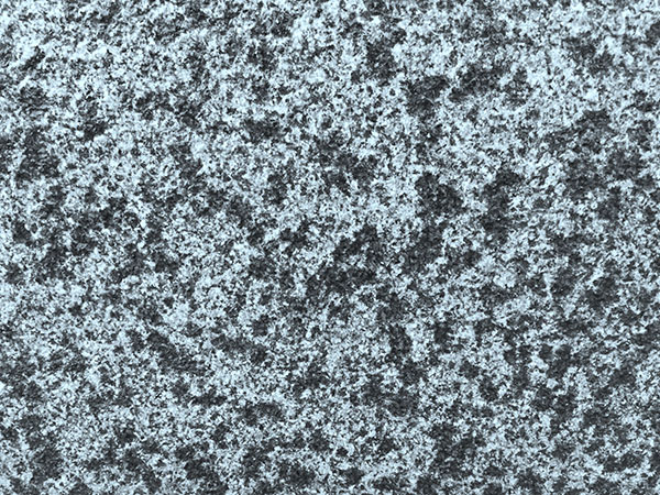 森林綠圖片/森林綠樣板圖 (4)