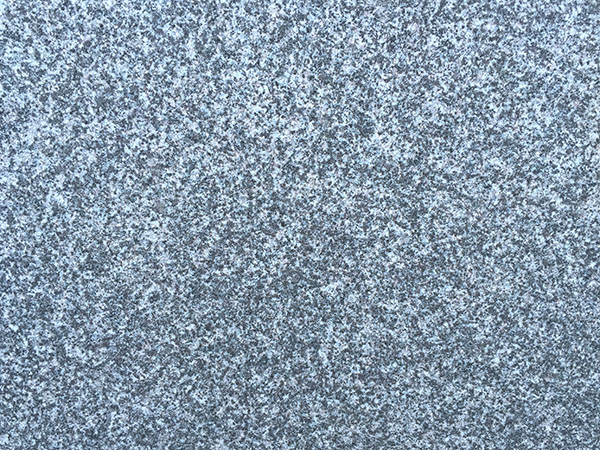 森林綠圖片/森林綠樣板圖 (2)