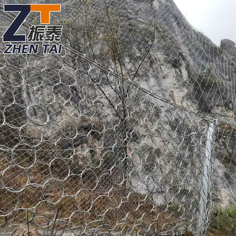 被動防護網(wǎng)圖片/被動防護網(wǎng)樣板圖 (4)