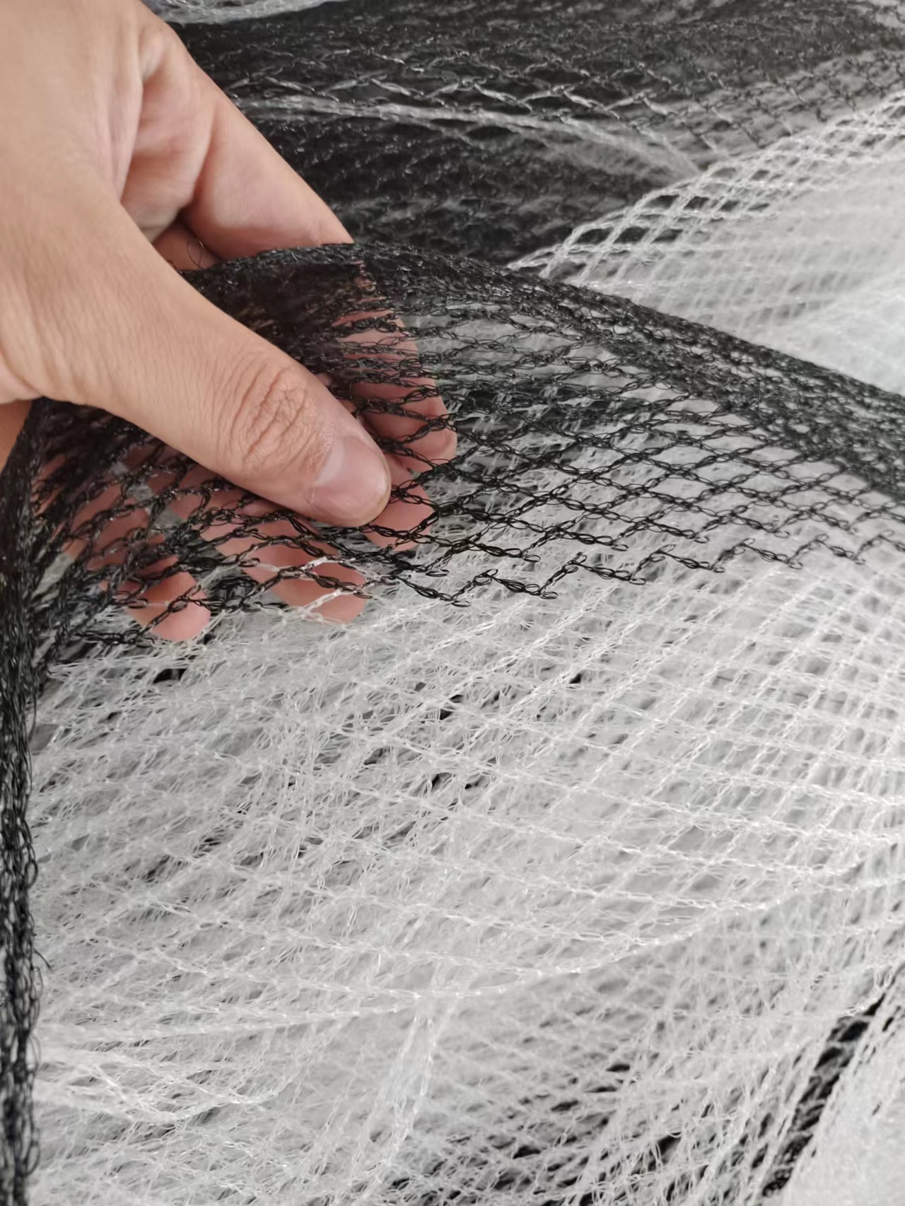 防雹網(wǎng)圖片/防雹網(wǎng)樣板圖 (1)