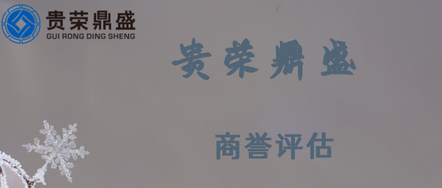 商譽(yù)評估圖片/商譽(yù)評估樣板圖 (1)