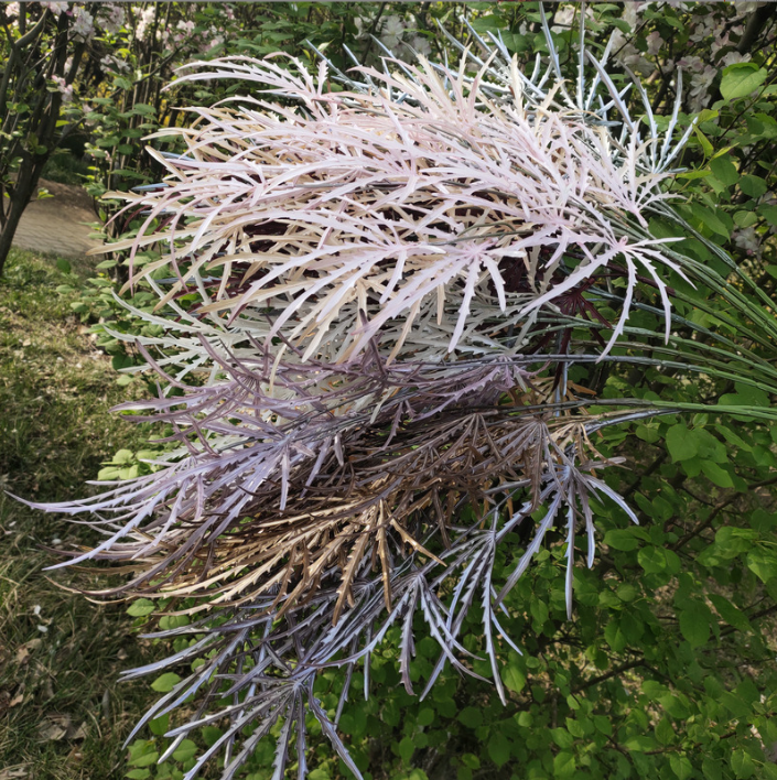 天津5叉塑料胶斯琴竹 仿真植物婚庆礼堂花艺软装摄影布景假花塑料竹叶图片